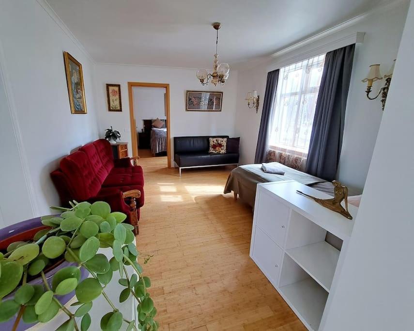 Spacious Apartment -Top Location Akureyri Extérieur photo